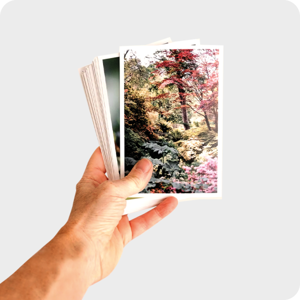 Pack 300 fotos 10×15 - Imagen 2
